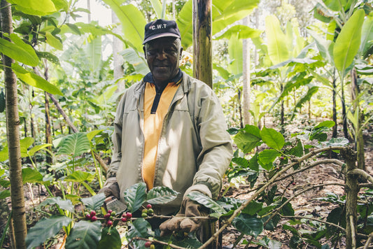 The Benefits of Ethically Sourced Coffee