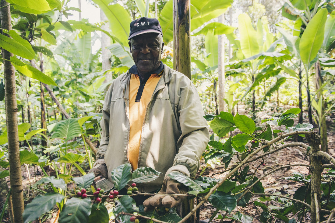 The Benefits of Ethically Sourced Coffee